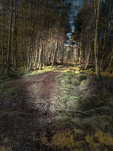 Scenes from the Trail- Walk This Way Through the Scottish Highlands 